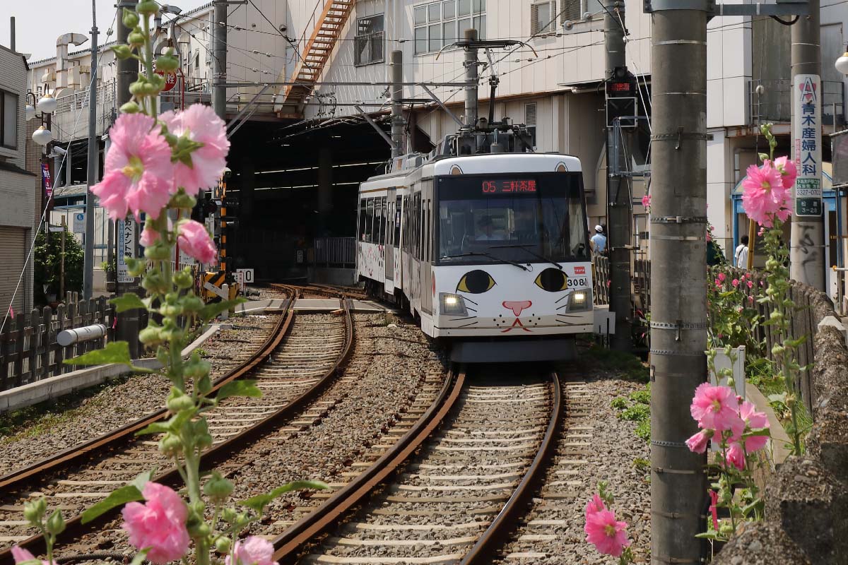 首都圏の大手私鉄で増えている!? レア＆リバイバル塗装車両を徹底