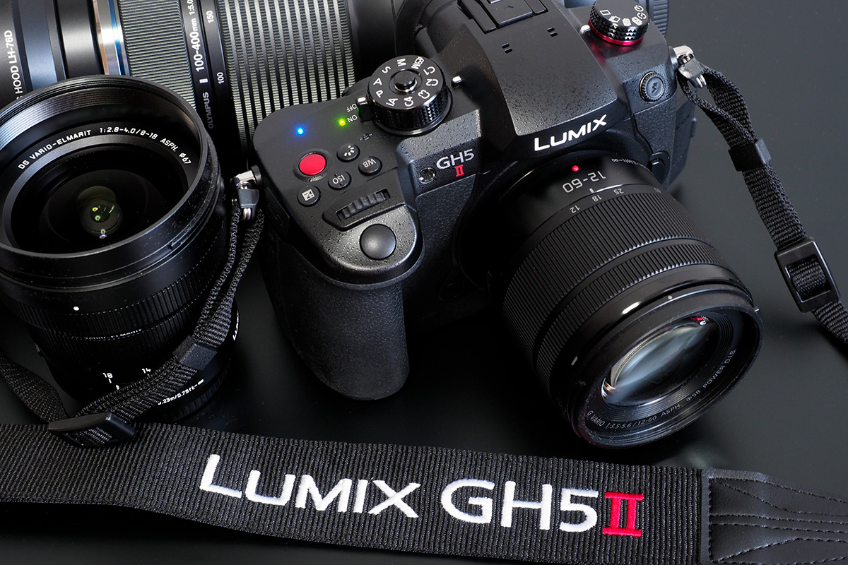 パナソニック「LUMIX GH5M2」実写レビュー！ 野鳥撮影も手ごろなもんで