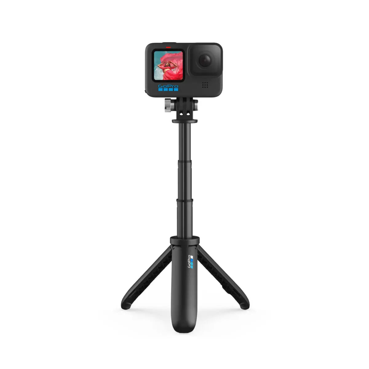 野外撮影の「超最強」が正統進化! GoPro HERO 10 Blackを編集部 野外撮影の「超最強」が正統進化! GoPro HERO 10 Blackを編集部