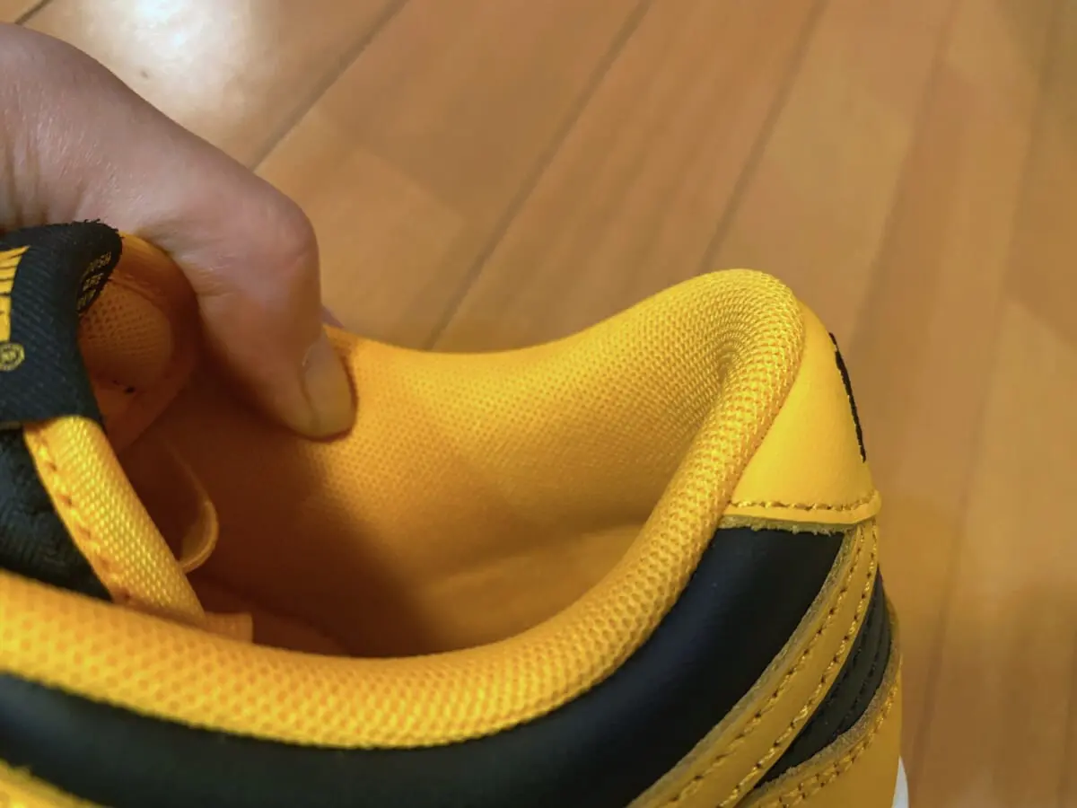今一番熱い「ナイキ ダンク」に伝説の「アイオワ大学カラー」Low