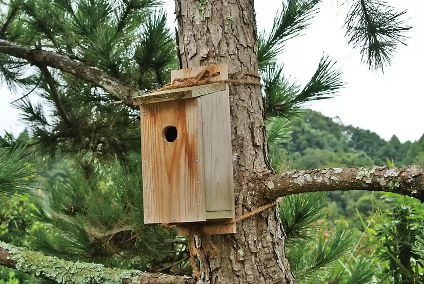 鳥の巣箱 木製 鳥用品 鳥かご 巣箱 庭園 自然 装飾 ぶら下げ 休憩所 鳥 