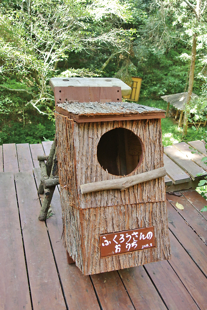 マジで野鳥を呼べる 巣箱の作り方と掛け方を伝授 新 田舎暮らし派 注目 サトヤマ通信 ５ ドゥーパ