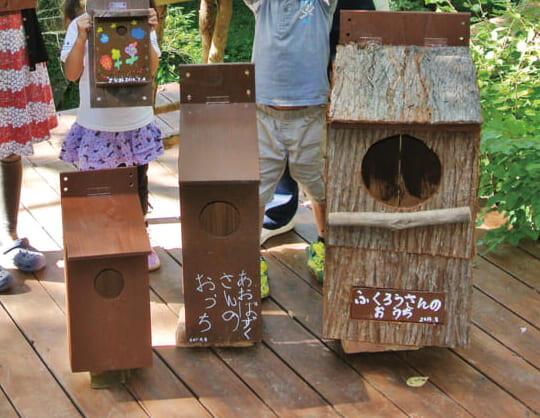 マジで野鳥を呼べる 巣箱の作り方と掛け方を伝授 新 田舎暮らし派 注目 サトヤマ通信 ５ ドゥーパ