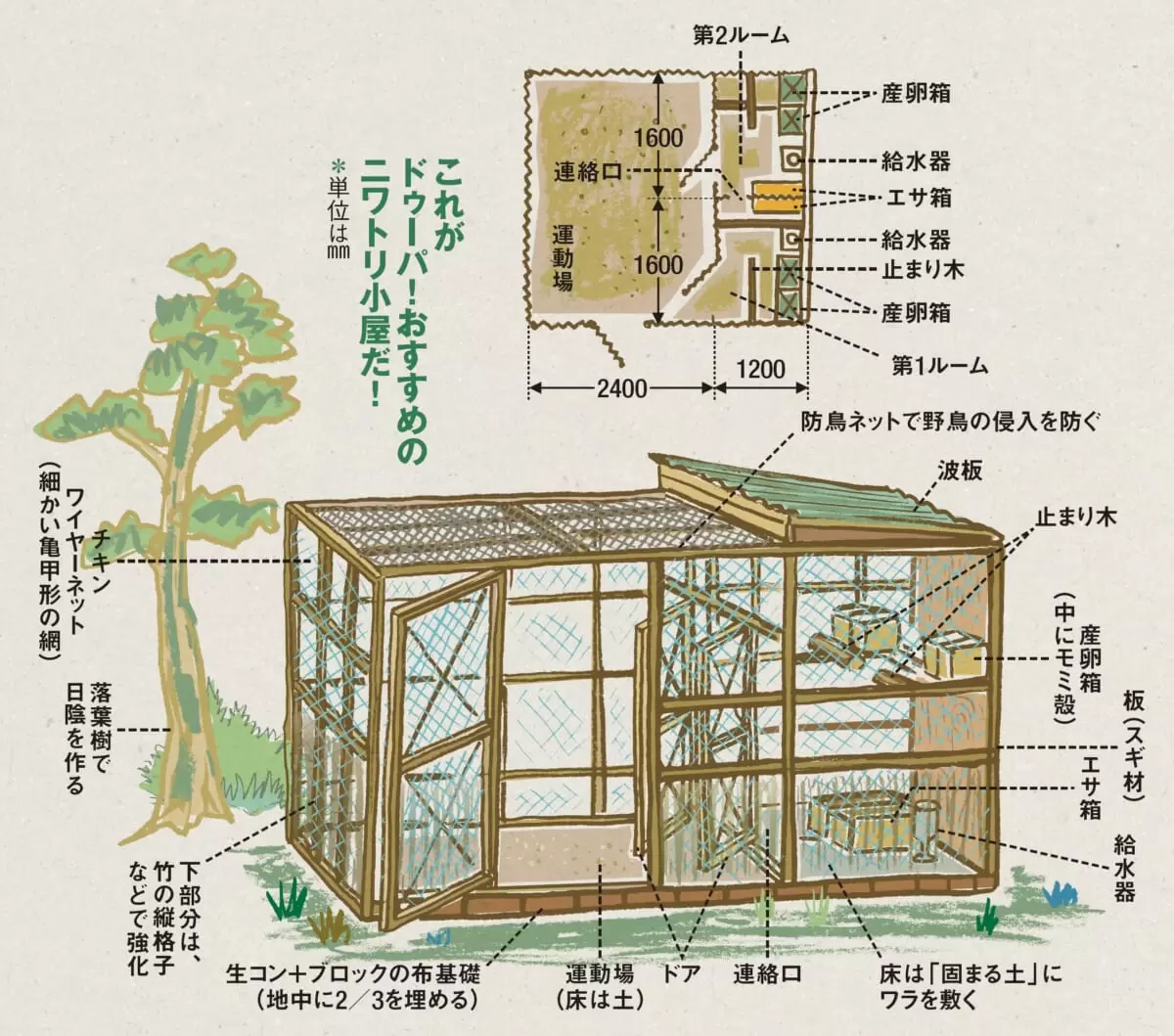 毎朝、美味しい卵をいただこう！ニワトリ小屋の作り方／新、田舎暮らし派、注目！サトヤマ通信（８） | ドゥーパ！