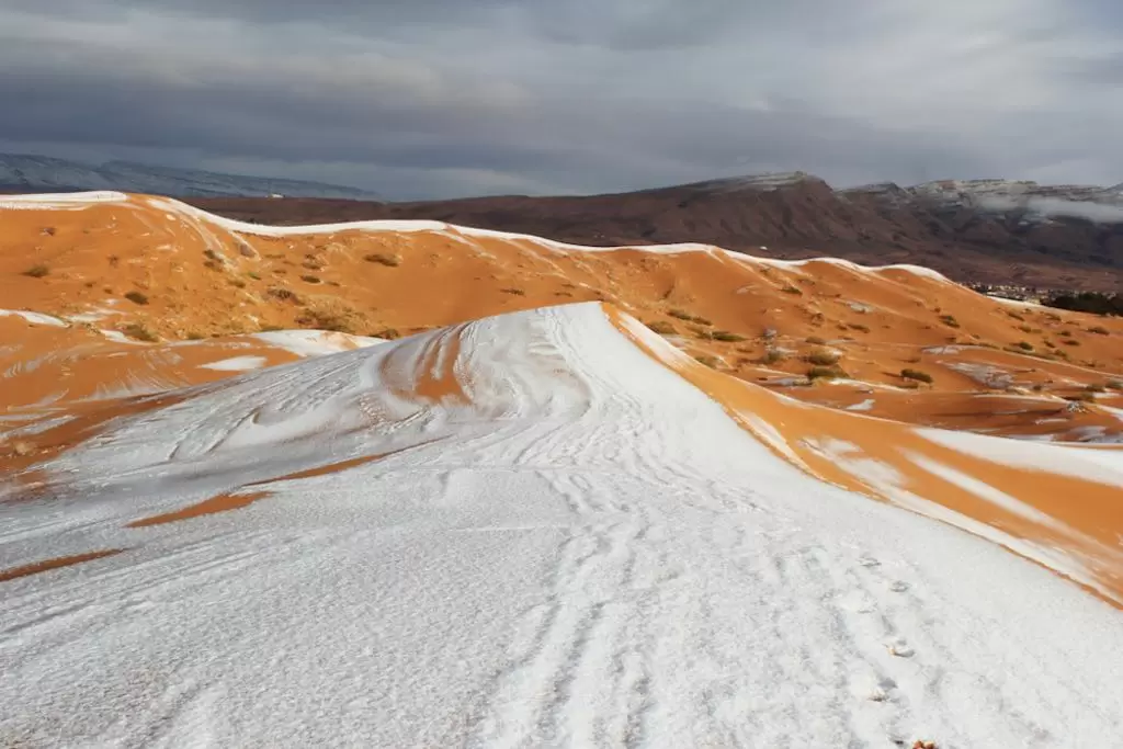 サハラ砂漠で降雪！ 驚くことではないのはなぜ？ | GetNavi web ゲットナビ