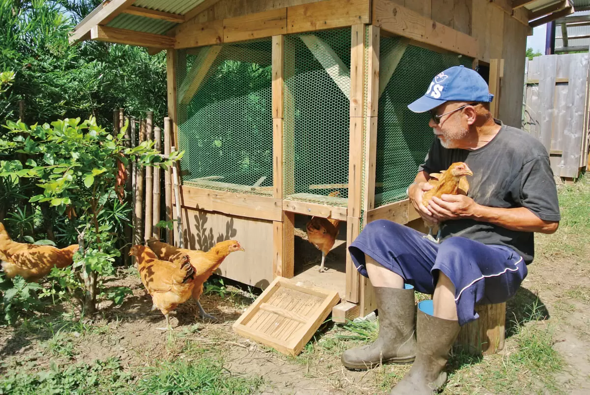 鶏小屋の作り方をニワトリ愛に目覚めたログビルダーに教えてもらいまし