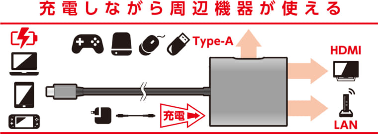 Switch本体とドッグ等 線類+spbgp44.ru