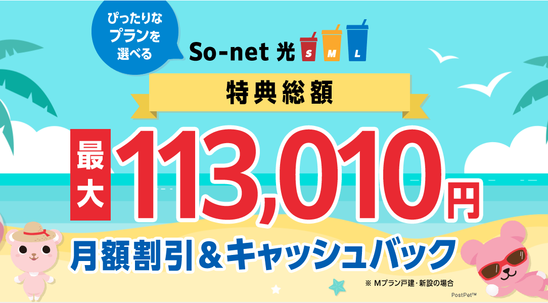 So-net 光