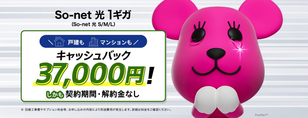 So-net光202504